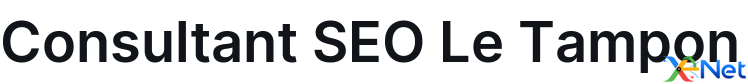 Consultant SEO Le Tampon